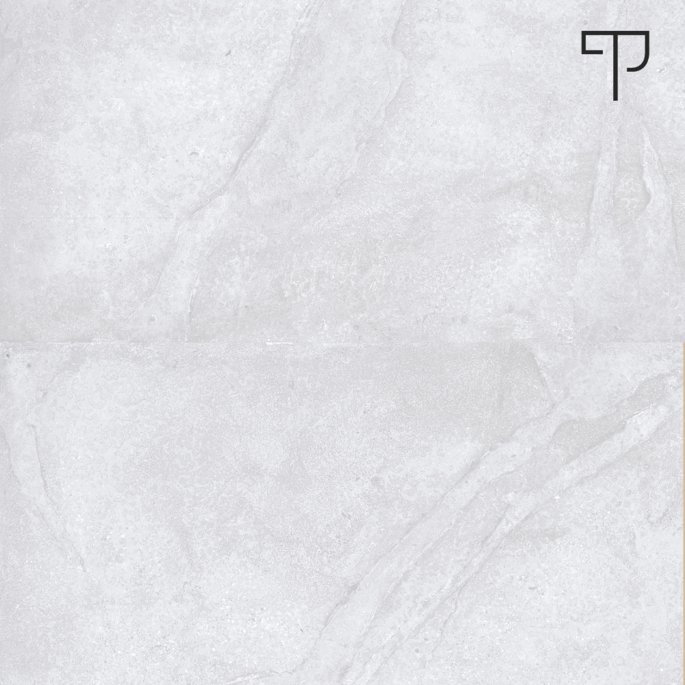 Grashim Silver 60 x 120 Grashim Silver - Afbeelding 1